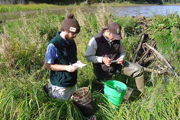 Grad Cert., Environmental Hazard Mitigation and Restoration